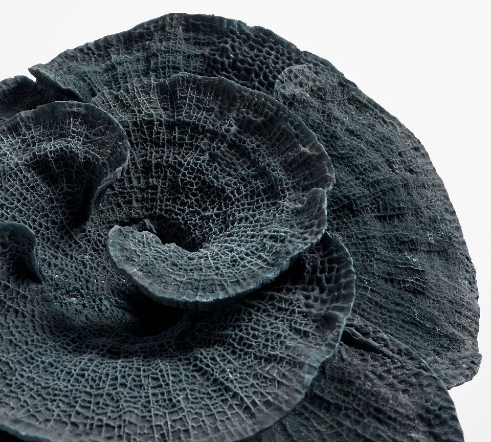 Faux Coral Decorative Objects Pottery Barn Australia